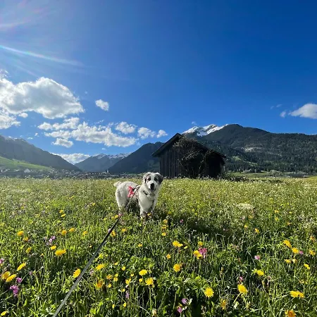 Larinmos * 레르모스