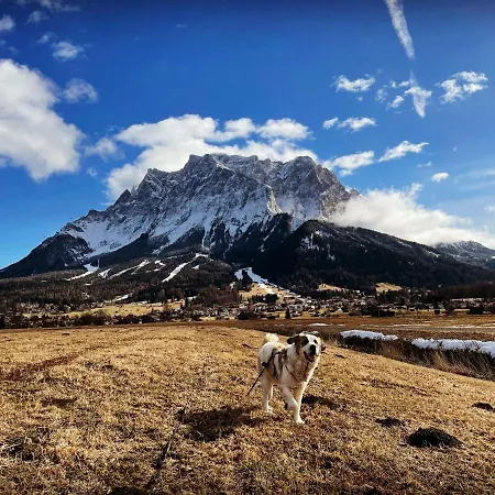 Apartment Larinmos Lermoos