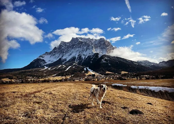 Apartmán Larinmos Lermoos